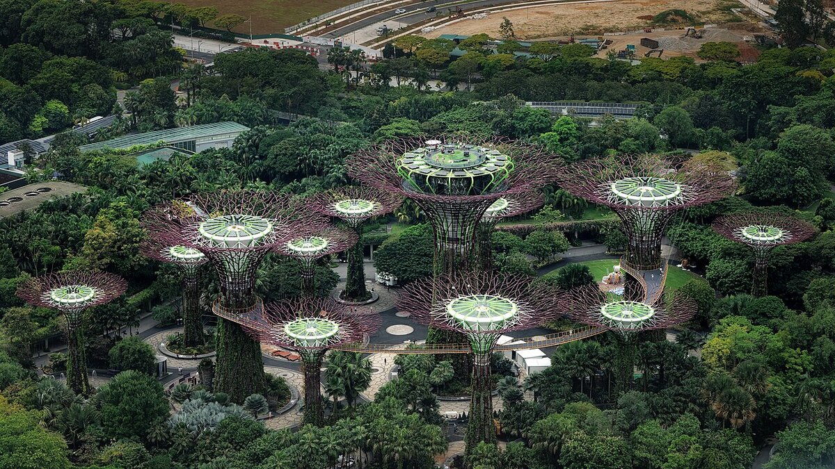 Aerial view of Supertree Grove at Gardens by the Bay in Singapore